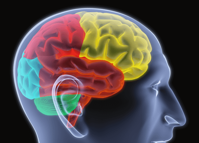 ClearSkullCrp ClearSkullCrp