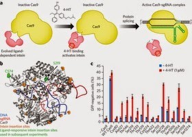 gnome e1445927240362