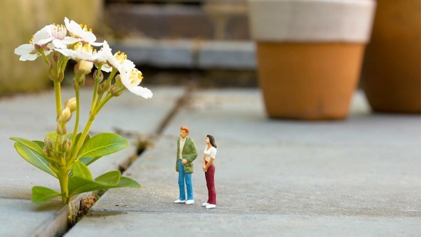 SEPT15 04 837627501 e1449298548914