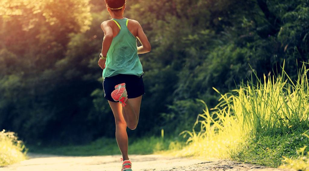 http   prod.static9.net .au   media Network Images 160726coachrunner1