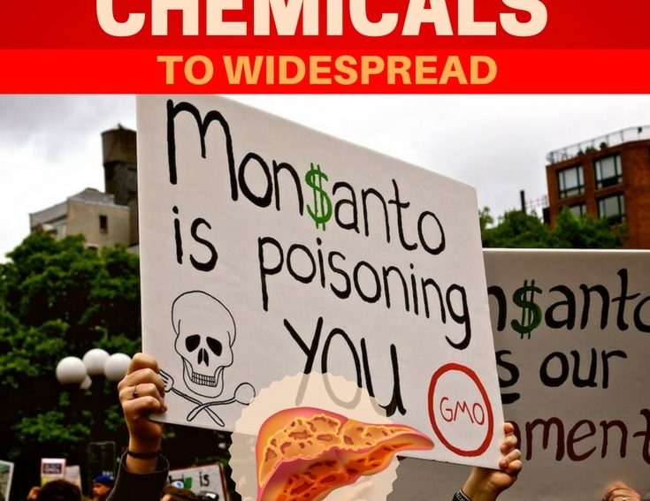 New Federal Study Links Monsanto Chemicals To Widespread Liver Disease1 e1481825105392