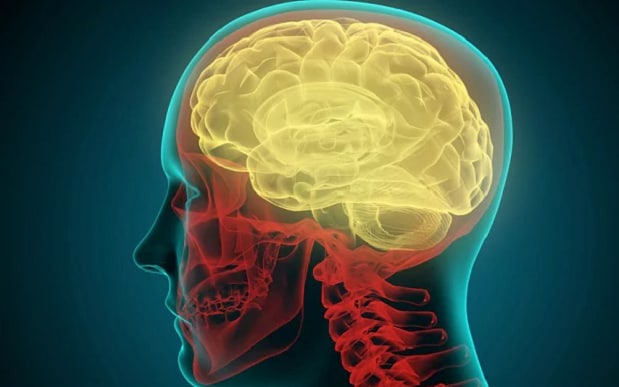 108995923 brain news large trans NvBQzQNjv4BqpJliwavx4coWFCaEkEsb3kvxIt lGGWCWqwLa RXJU81 108995923 brain news large trans NvBQzQNjv4BqpJliwavx4coWFCaEkEsb3kvxIt lGGWCWqwLa RXJU81