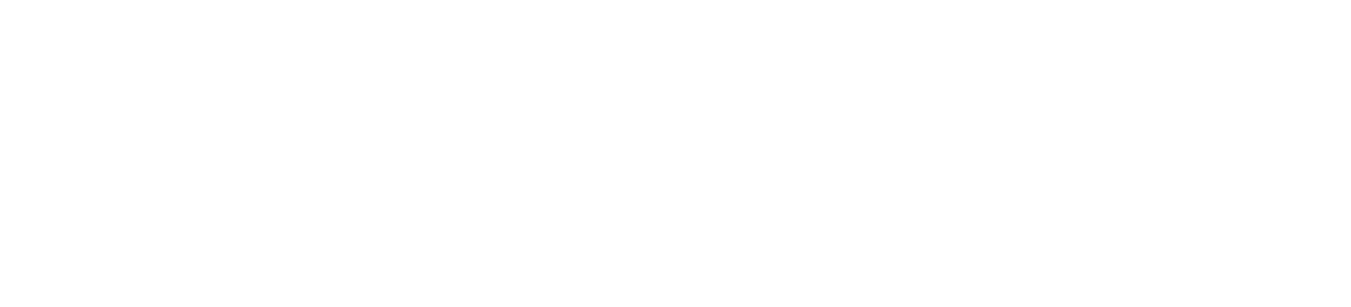 Logo - Horizontal - WHITE