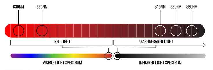 Red Light Wavelengths